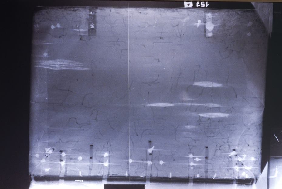 Radiografia. Pistoia, Biblioteca dell'Archivio Capitolare, C. 157
icpal_20746
Keywords: 1510/1995, 1510.2/1995, ACap Pistoia C. 157, Radiografie, ACap Pistoia