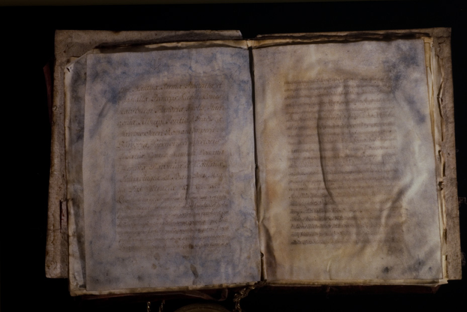 Editto con sigillo di Maria Teresa d'Austria, 1768. Mantova, Biblioteca dell'Accademia nazionale virgiliana
icpal_23566
Keywords: 1547/1996, Acc. Naz. Virgiliana Editto M. Teresa d'Austria con sigillo 1768, Acc. Naz. Virgiliana