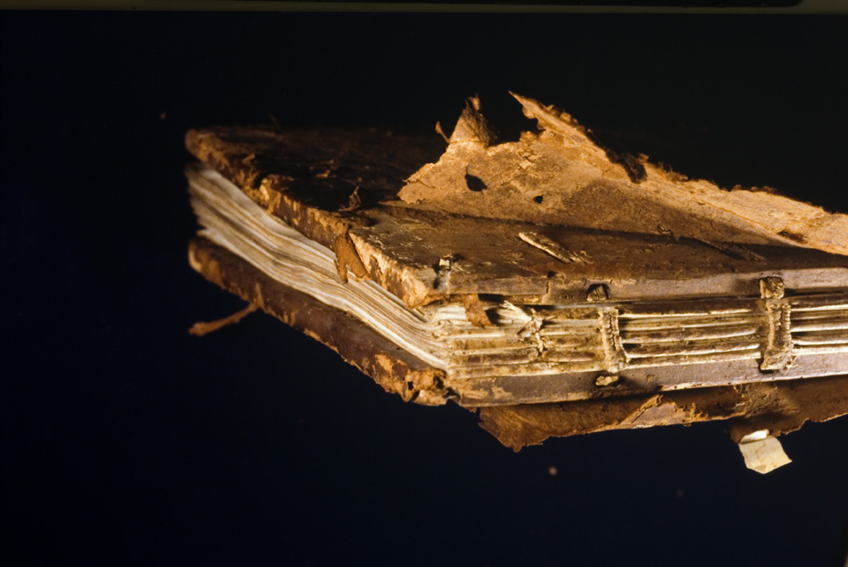 Treviso, Biblioteca Capitolare, Ms. III.4 (9)
icpal_26135
Keywords: 1562/1997, 1562.2/1997, BCap Treviso Ms. III.4 (9), BCap Treviso
