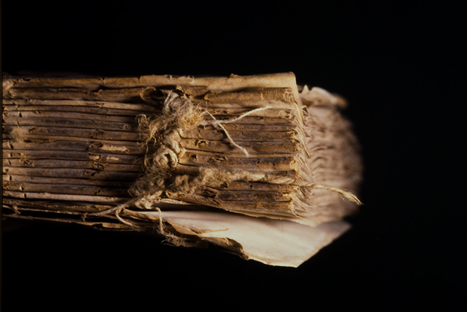 Lacedonia, Biblioteca del Palazzo Vescovile, Ms. 11
icpal_26173
Keywords: 1568/1997, 1568.1/1997, Lacedonia B Palazzo Vescovile Ms. 11, Lacedonia B Palazzo Vescovile