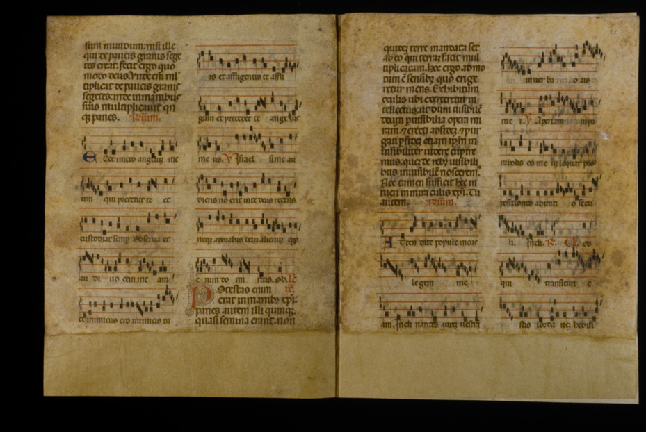 Lacedonia, Biblioteca del Palazzo Vescovile, Ms. 11
icpal_26219
Keywords: 1568/1997, 1568.1/1997, Lacedonia B Palazzo Vescovile Ms. 11, Lacedonia B Palazzo Vescovile