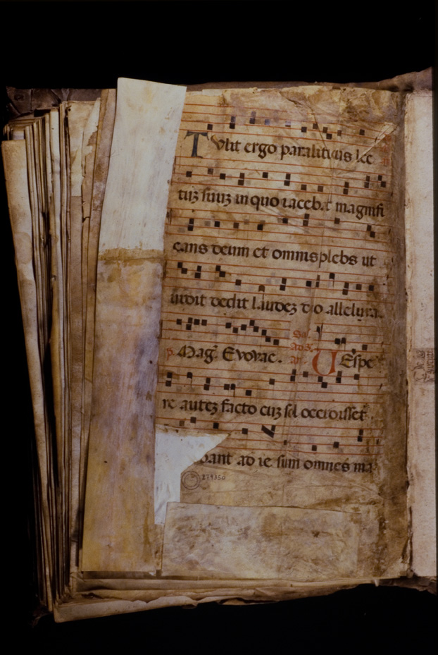 Bari, Biblioteca Nazionale Sagarriga Visconti Volpi, Ms. A.11
icpal_24119
Keywords: 1606/1998, Sagarriga Visconti Volpi Ms. A.11, Sagarriga Visconti Volpi