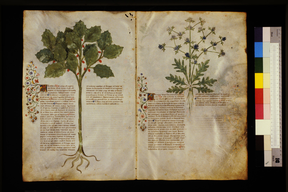Roma, Biblioteca Casanatense, Ms. 459
icpal_29515
Keywords: Casanatense Ms. 459, Casanatense