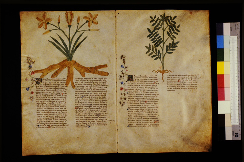 Roma, Biblioteca Casanatense, Ms. 459
icpal_29518
Keywords: Casanatense Ms. 459, Casanatense