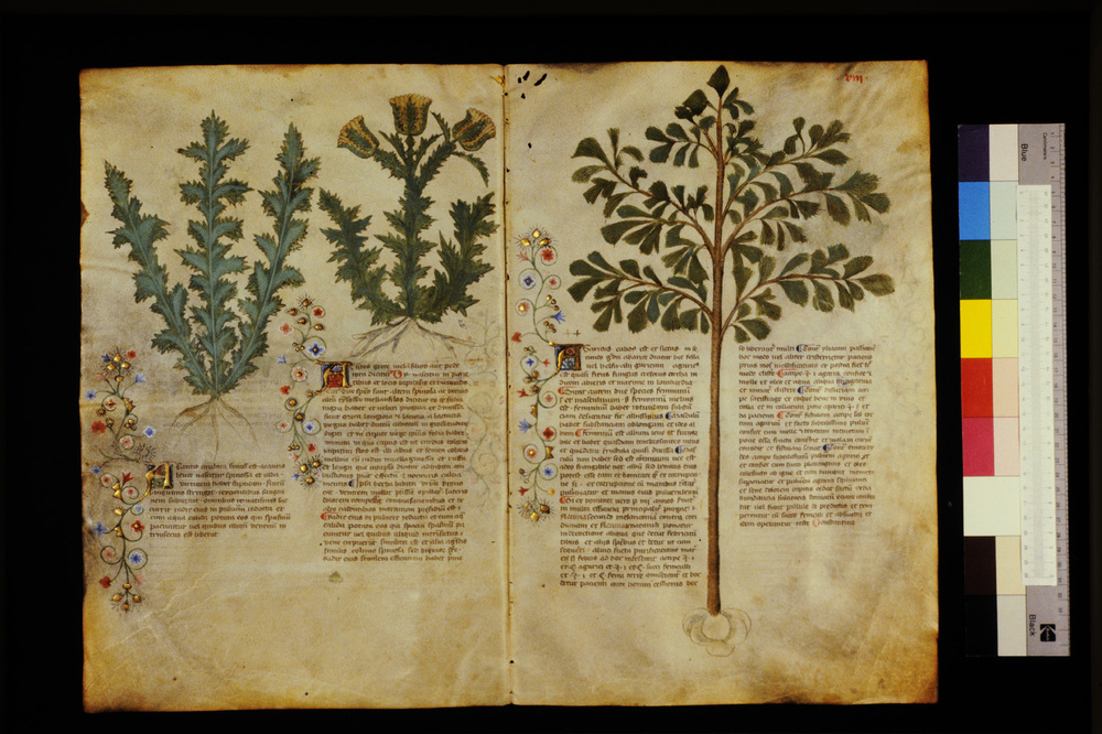 Roma, Biblioteca Casanatense, Ms. 459
icpal_29520
Keywords: Casanatense Ms. 459, Casanatense