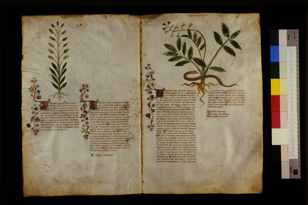 Roma, Biblioteca Casanatense, Ms. 459
icpal_29521
Keywords: Casanatense Ms. 459, Casanatense