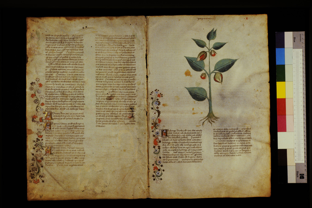 Roma, Biblioteca Casanatense, Ms. 459
icpal_29522
Keywords: Casanatense Ms. 459, Casanatense