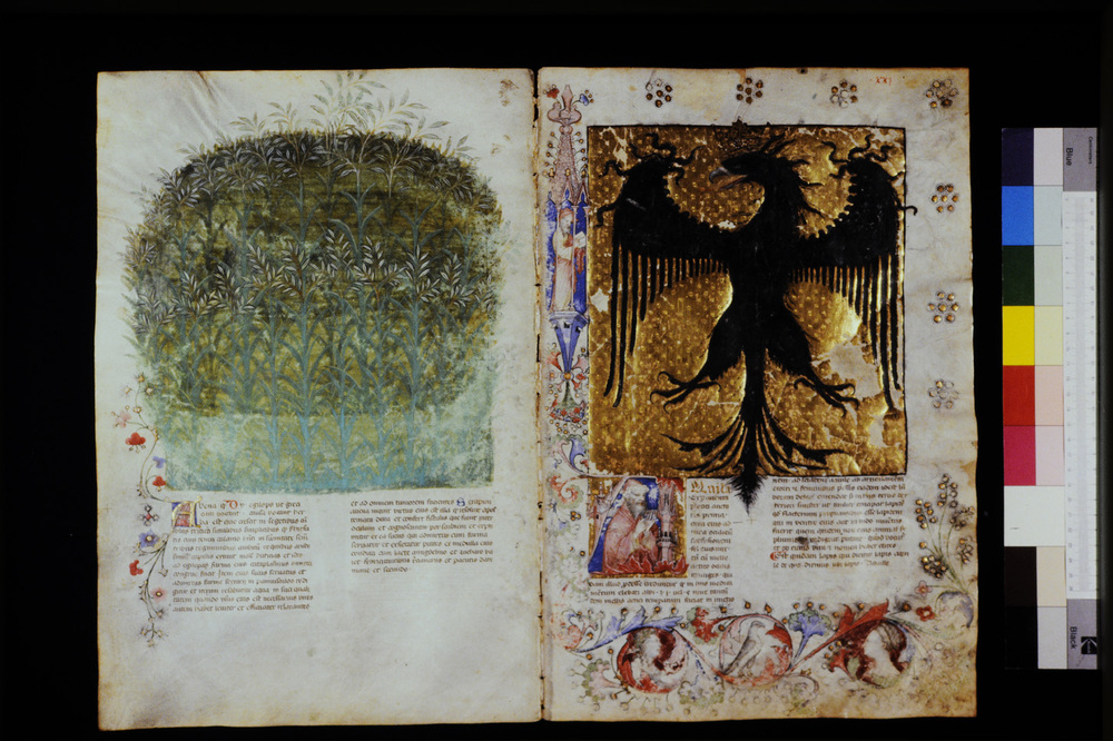 Roma, Biblioteca Casanatense, Ms. 459
icpal_29533
Keywords: Casanatense Ms. 459, Casanatense