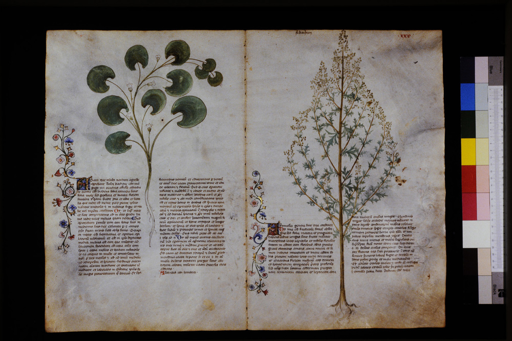 Roma, Biblioteca Casanatense, Ms. 459
icpal_29537
Keywords: Casanatense Ms. 459, Casanatense