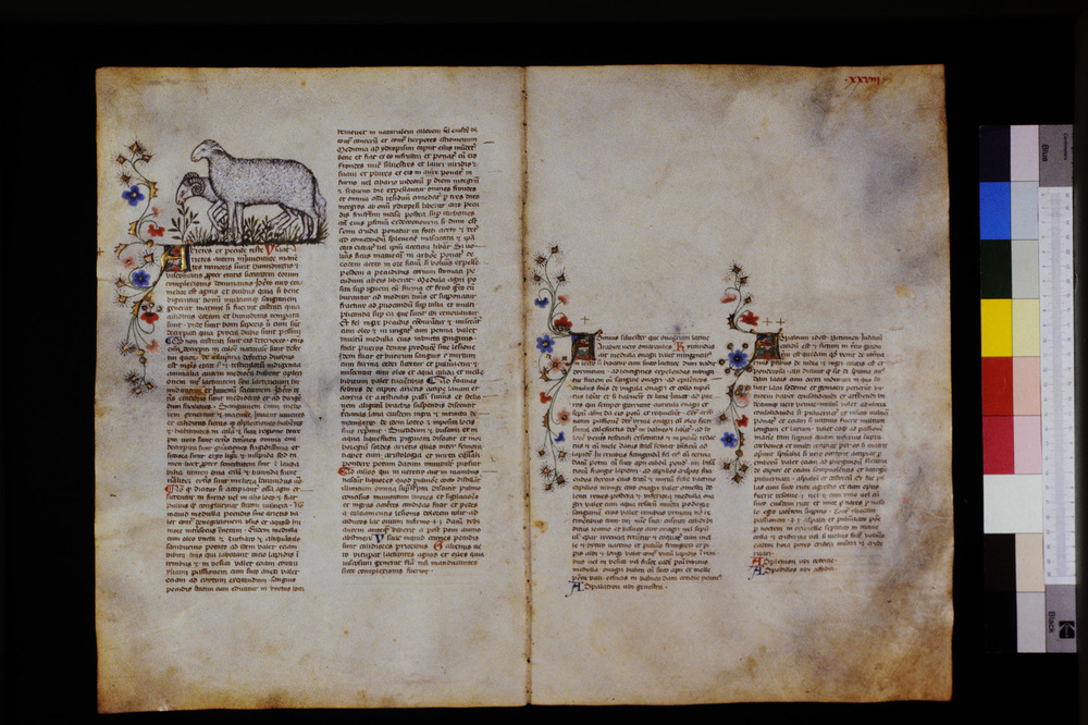Roma, Biblioteca Casanatense, Ms. 459
icpal_29540
Keywords: Casanatense Ms. 459, Casanatense