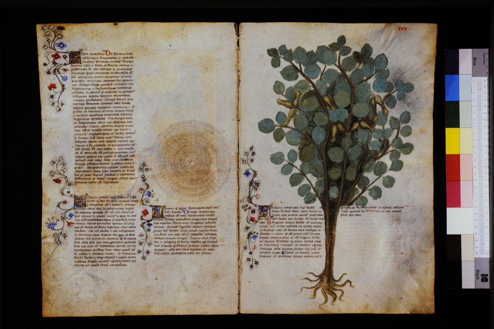 Roma, Biblioteca Casanatense, Ms. 459
icpal_29542
Keywords: Casanatense Ms. 459, Casanatense
