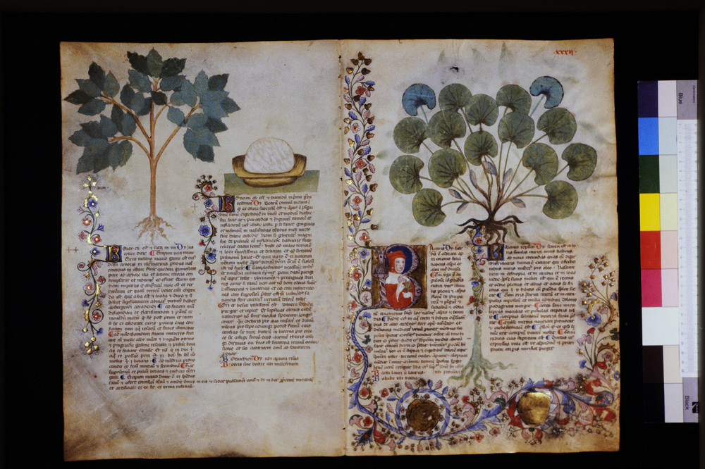 Roma, Biblioteca Casanatense, Ms. 459
icpal_29544
Keywords: Casanatense Ms. 459, Casanatense