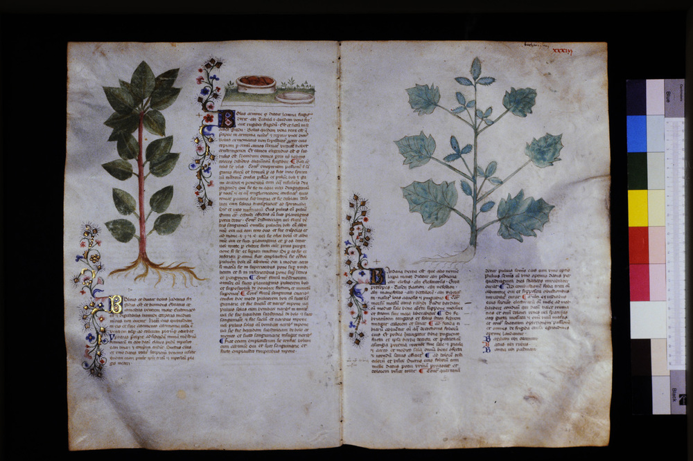 Roma, Biblioteca Casanatense, Ms. 459
icpal_29545
Keywords: Casanatense Ms. 459, Casanatense