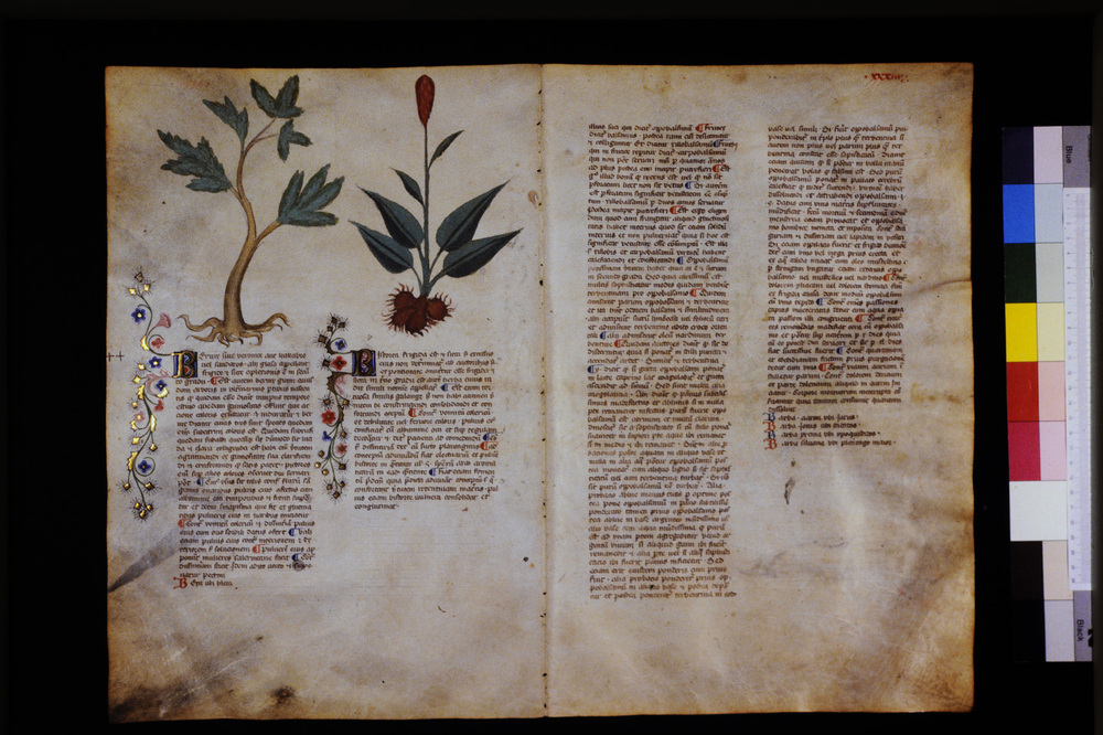 Roma, Biblioteca Casanatense, Ms. 459
icpal_29546
Keywords: Casanatense Ms. 459, Casanatense