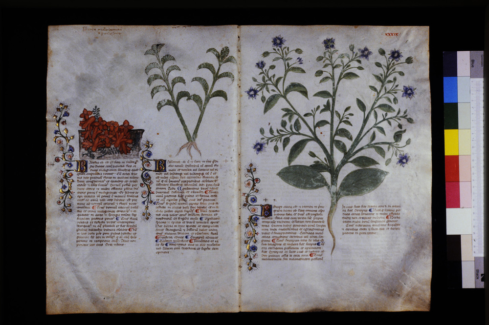 Roma, Biblioteca Casanatense, Ms. 459
icpal_29551
Keywords: Casanatense Ms. 459, Casanatense