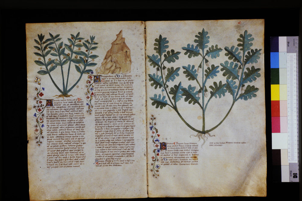 Roma, Biblioteca Casanatense, Ms. 459
icpal_29552
Keywords: Casanatense Ms. 459, Casanatense