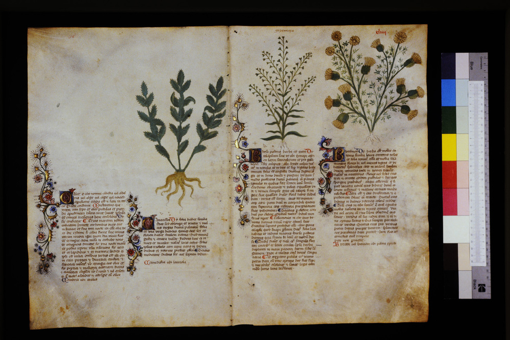 Roma, Biblioteca Casanatense, Ms. 459
icpal_29556
Keywords: Casanatense Ms. 459, Casanatense