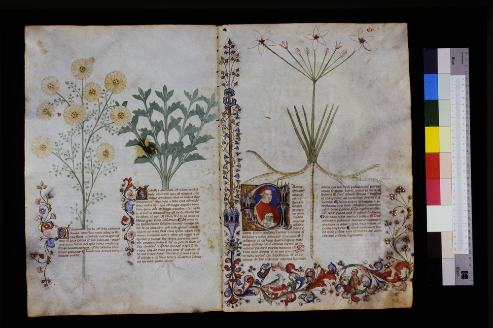 Roma, Biblioteca Casanatense, Ms. 459
icpal_29557
Keywords: Casanatense Ms. 459, Casanatense