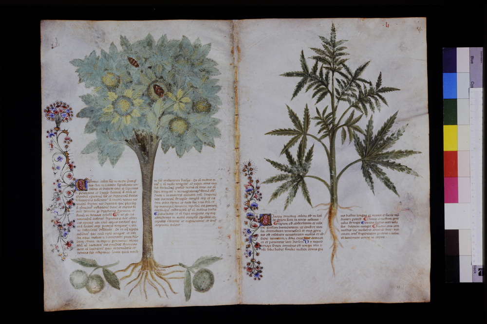 Roma, Biblioteca Casanatense, Ms. 459
icpal_29563
Keywords: Casanatense Ms. 459, Casanatense