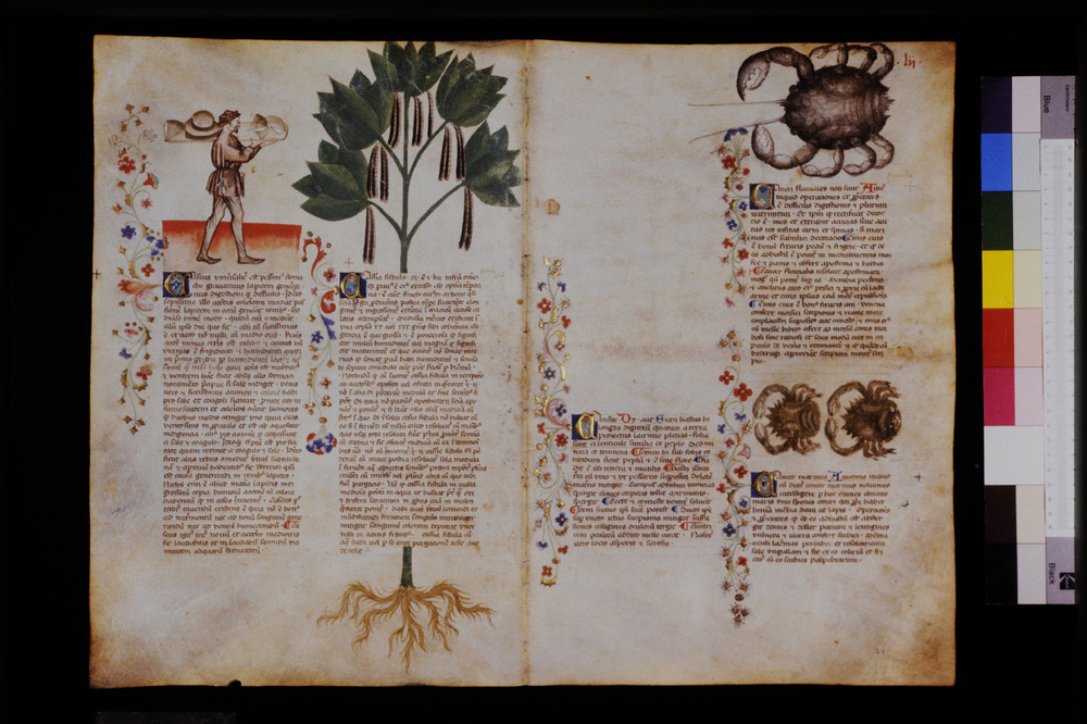 Roma, Biblioteca Casanatense, Ms. 459
icpal_29564
Keywords: Casanatense Ms. 459, Casanatense