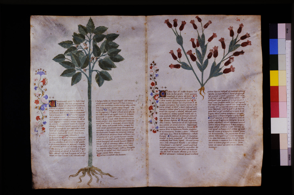 Roma, Biblioteca Casanatense, Ms. 459
icpal_29565
Keywords: Casanatense Ms. 459, Casanatense