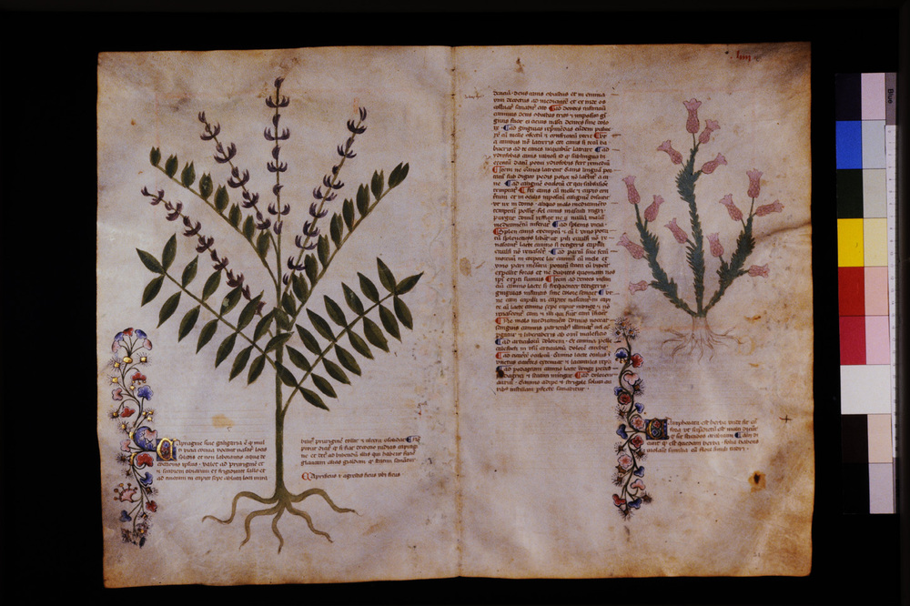 Roma, Biblioteca Casanatense, Ms. 459
icpal_29566
Keywords: Casanatense Ms. 459, Casanatense