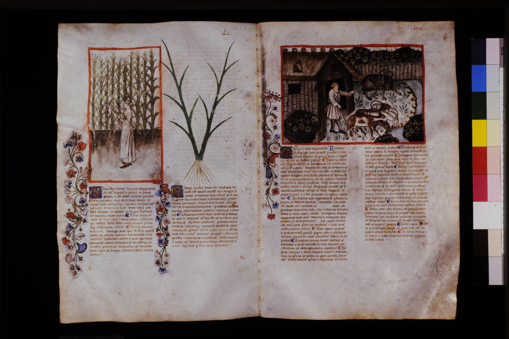 Roma, Biblioteca Casanatense, Ms. 459
icpal_29567
Keywords: Casanatense Ms. 459, Casanatense