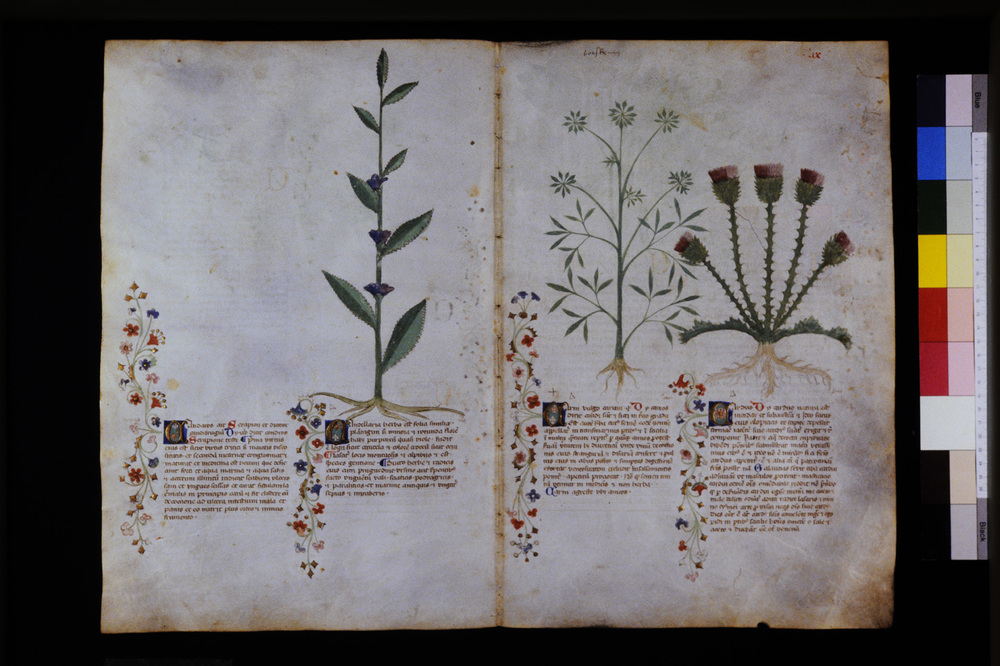 Roma, Biblioteca Casanatense, Ms. 459
icpal_29569
Keywords: Casanatense Ms. 459, Casanatense