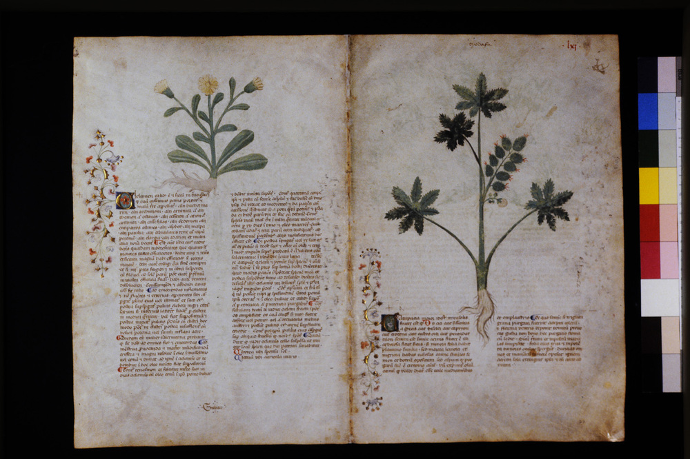 Roma, Biblioteca Casanatense, Ms. 459
icpal_29571
Keywords: Casanatense Ms. 459, Casanatense