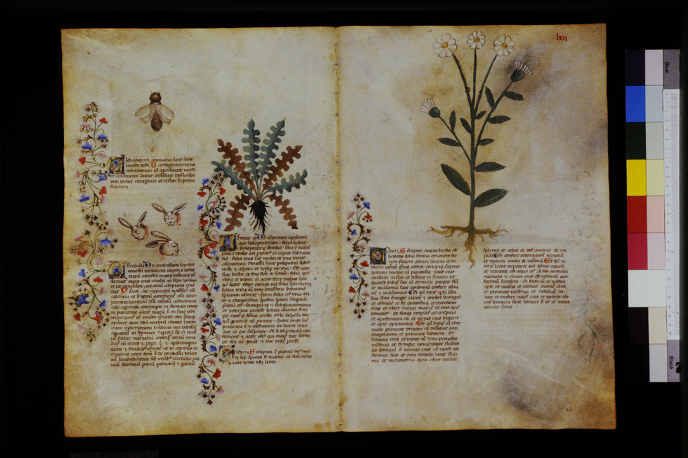 Roma, Biblioteca Casanatense, Ms. 459
icpal_29572
Keywords: Casanatense Ms. 459, Casanatense