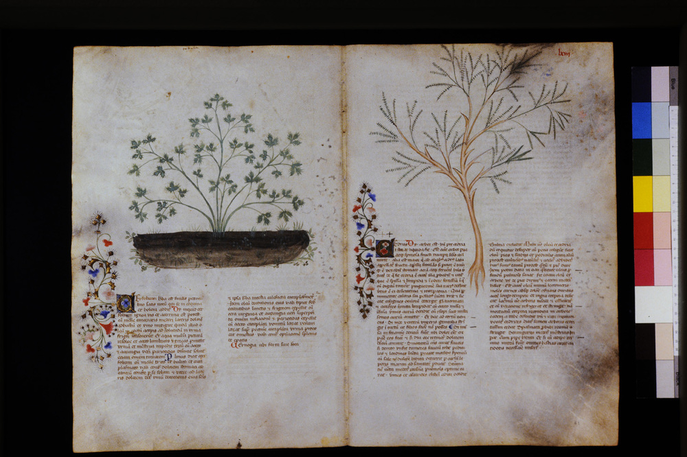 Roma, Biblioteca Casanatense, Ms. 459
icpal_29573
Keywords: Casanatense Ms. 459, Casanatense
