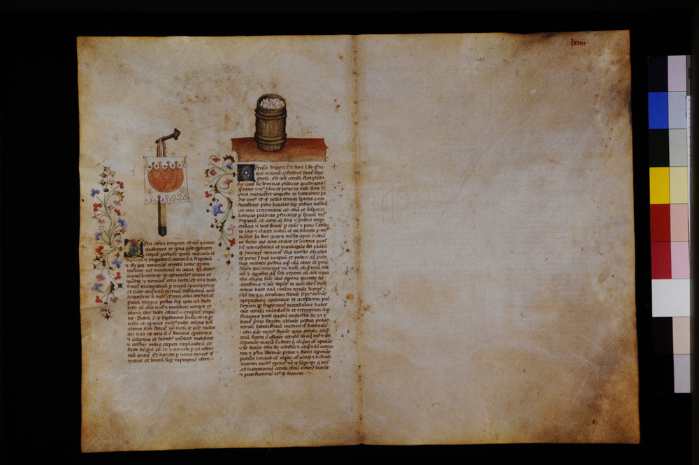 Roma, Biblioteca Casanatense, Ms. 459
icpal_29574
Keywords: Casanatense Ms. 459, Casanatense