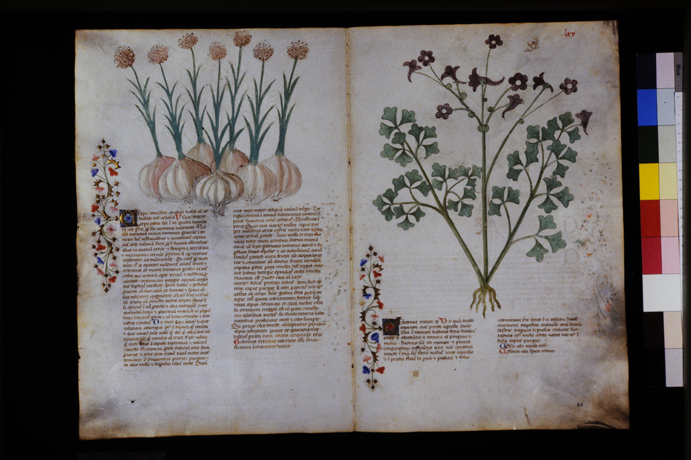 Roma, Biblioteca Casanatense, Ms. 459
icpal_29575
Keywords: Casanatense Ms. 459, Casanatense