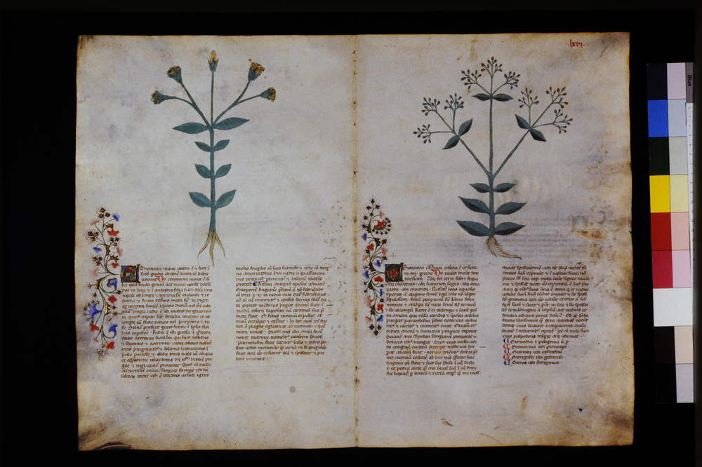 Roma, Biblioteca Casanatense, Ms. 459
icpal_29576
Keywords: Casanatense Ms. 459, Casanatense