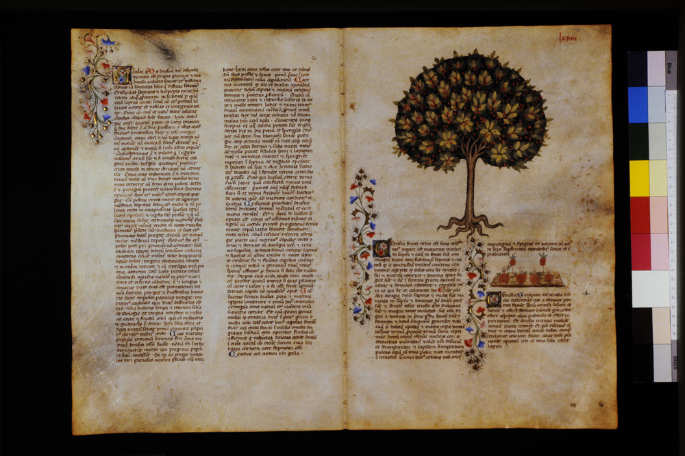 Roma, Biblioteca Casanatense, Ms. 459
icpal_29578
Keywords: Casanatense Ms. 459, Casanatense