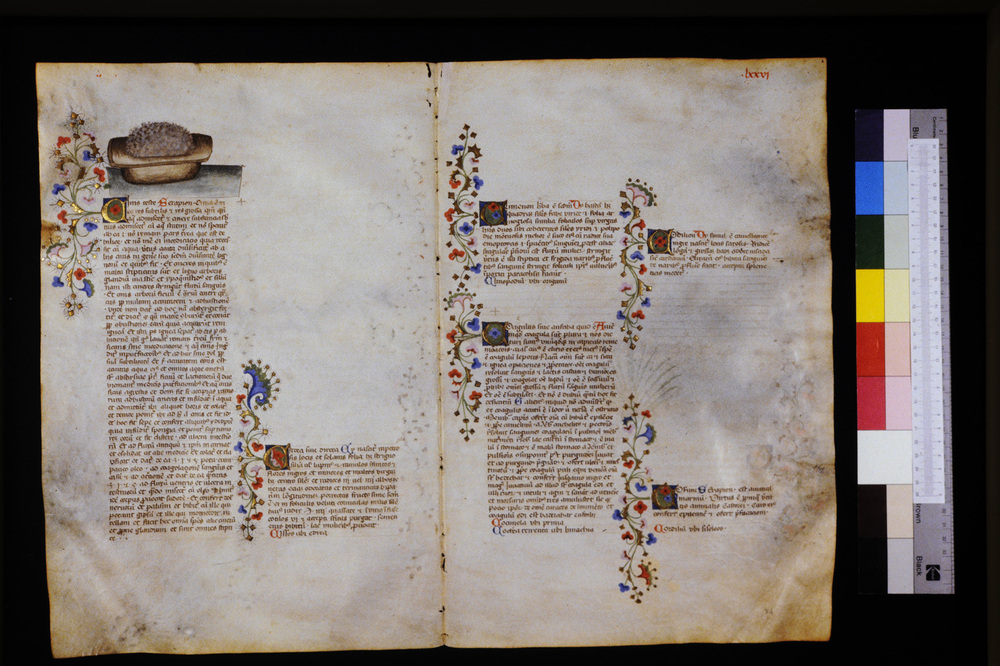 Roma, Biblioteca Casanatense, Ms. 459
icpal_29588
Keywords: Casanatense Ms. 459, Casanatense