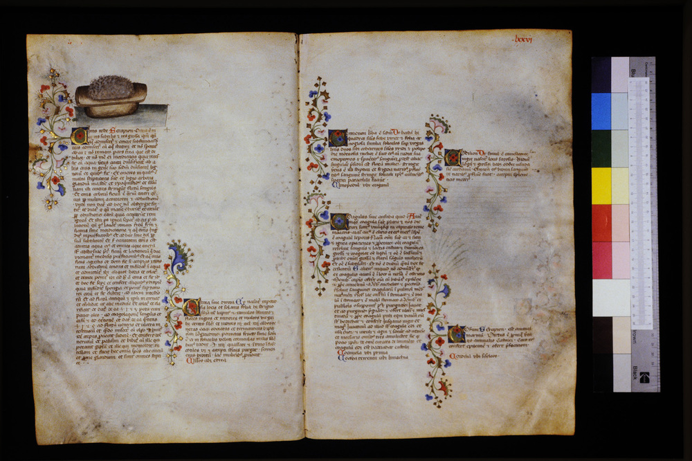 Roma, Biblioteca Casanatense, Ms. 459
icpal_29589
Keywords: Casanatense Ms. 459, Casanatense
