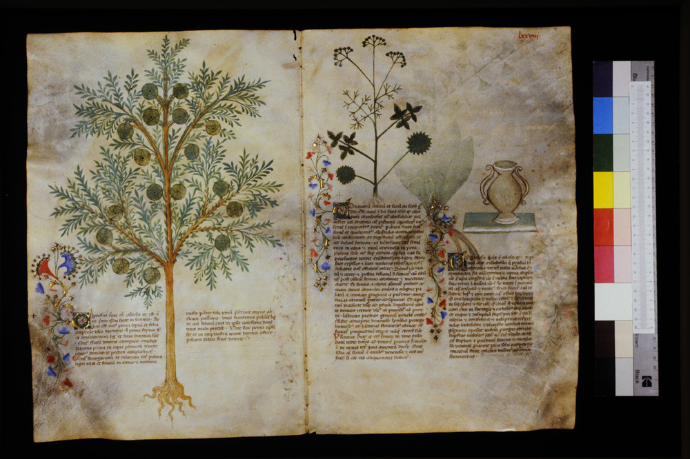 Roma, Biblioteca Casanatense, Ms. 459
icpal_29590
Keywords: Casanatense Ms. 459, Casanatense