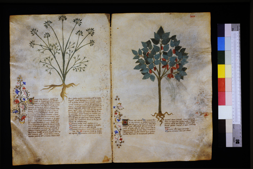 Roma, Biblioteca Casanatense, Ms. 459
icpal_29592
Keywords: Casanatense Ms. 459, Casanatense