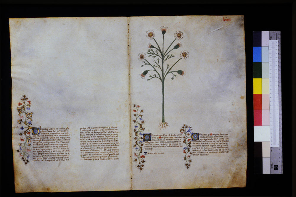 Roma, Biblioteca Casanatense, Ms. 459
icpal_29594
Keywords: Casanatense Ms. 459, Casanatense