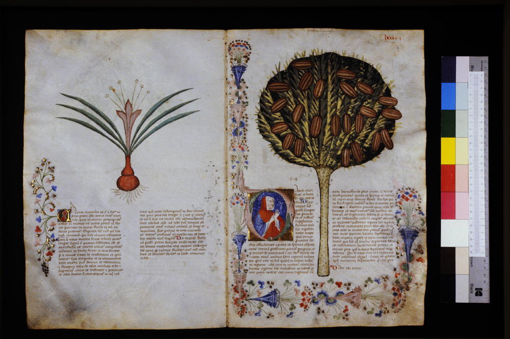 Roma, Biblioteca Casanatense, Ms. 459
icpal_29599
Keywords: Casanatense Ms. 459, Casanatense
