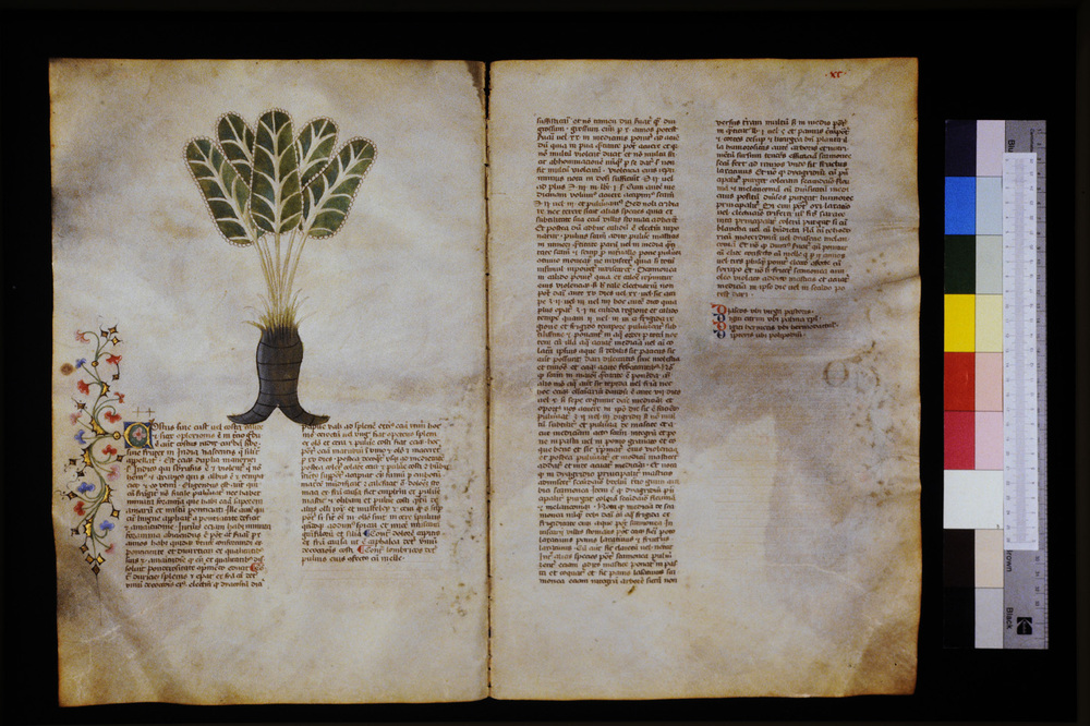 Roma, Biblioteca Casanatense, Ms. 459
icpal_29602
Keywords: Casanatense Ms. 459, Casanatense