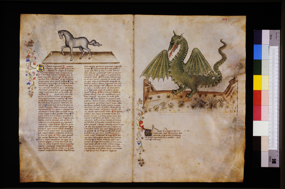 Roma, Biblioteca Casanatense, Ms. 459
icpal_29604
Keywords: Casanatense Ms. 459, Casanatense