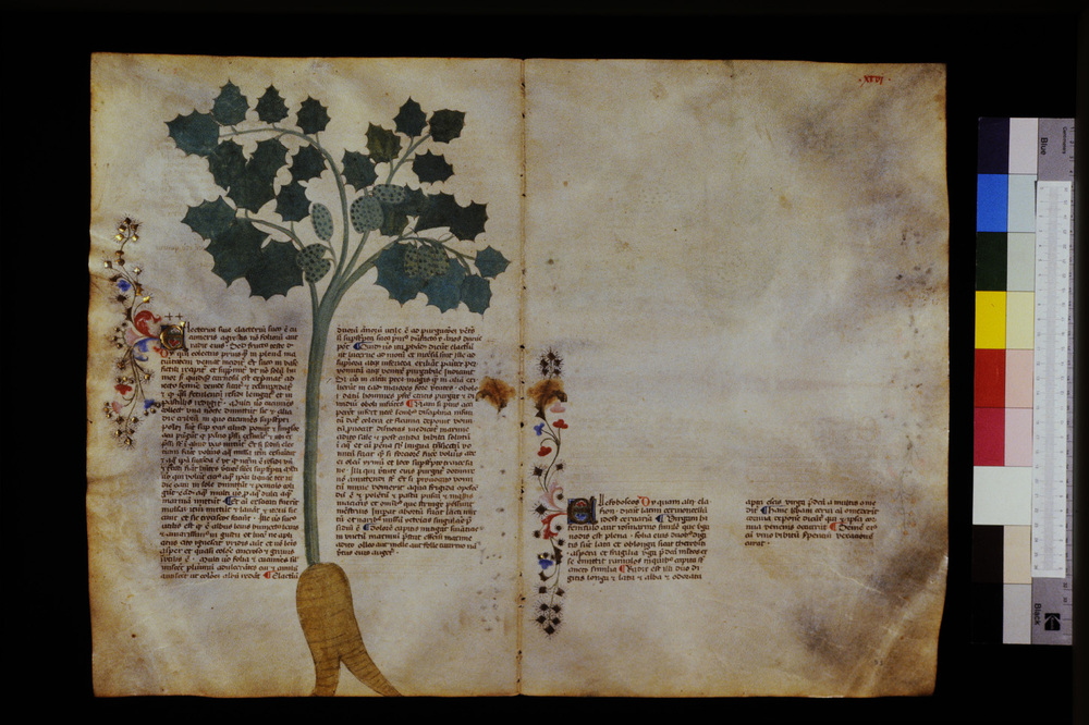 Roma, Biblioteca Casanatense, Ms. 459
icpal_29608
Keywords: Casanatense Ms. 459, Casanatense