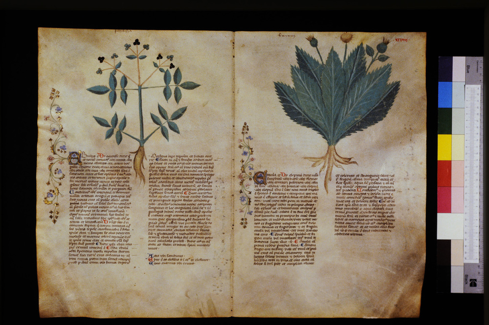 Roma, Biblioteca Casanatense, Ms. 459
icpal_29610
Keywords: Casanatense Ms. 459, Casanatense