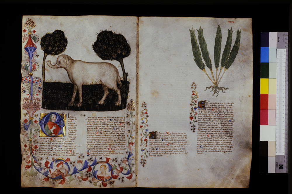 Roma, Biblioteca Casanatense, Ms. 459
icpal_29611
Keywords: Casanatense Ms. 459, Casanatense