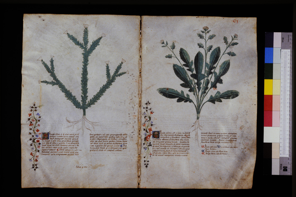 Roma, Biblioteca Casanatense, Ms. 459
icpal_29613
Keywords: Casanatense Ms. 459, Casanatense