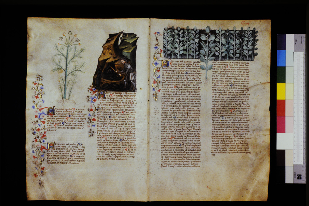 Roma, Biblioteca Casanatense, Ms. 459
icpal_29616
Keywords: Casanatense Ms. 459, Casanatense