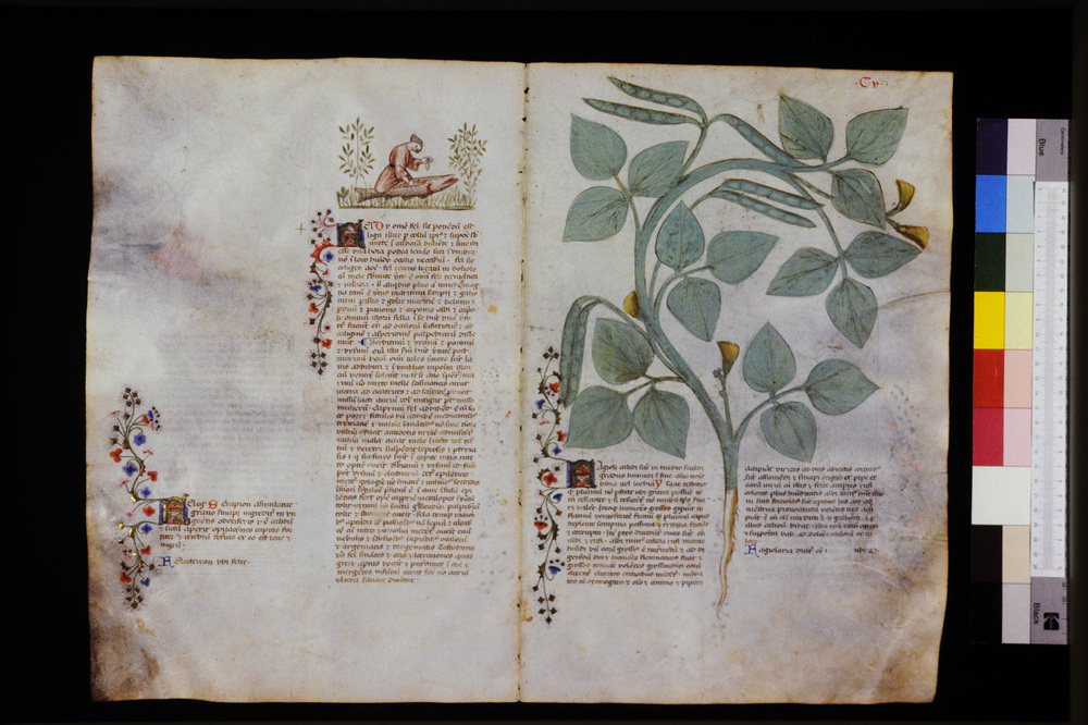 Roma, Biblioteca Casanatense, Ms. 459
icpal_29617
Keywords: Casanatense Ms. 459, Casanatense