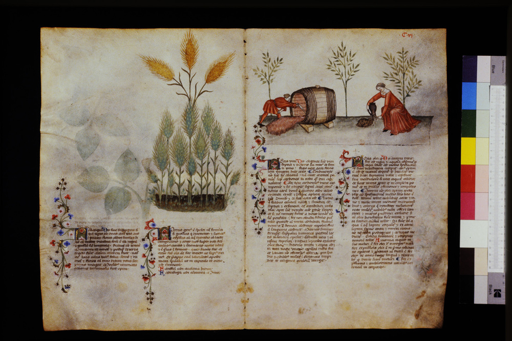 Roma, Biblioteca Casanatense, Ms. 459
icpal_29618
Keywords: Casanatense Ms. 459, Casanatense